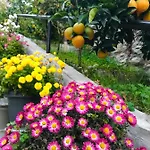 Grandpa's Oda ve Kahvaltı