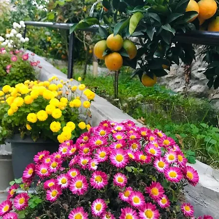 Grandpa's فندق مبيت وإفطار